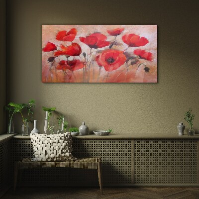 Foto auf glas Rote Mohnblumen auf pastellfarbenem Hintergrund