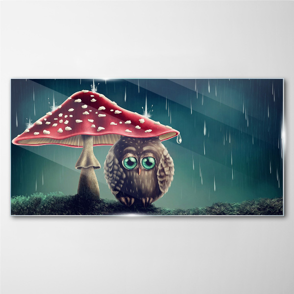 Glasbild Eine Eule unter einem Pilz im Regen