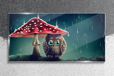 Glasbild Eine Eule unter einem Pilz im Regen