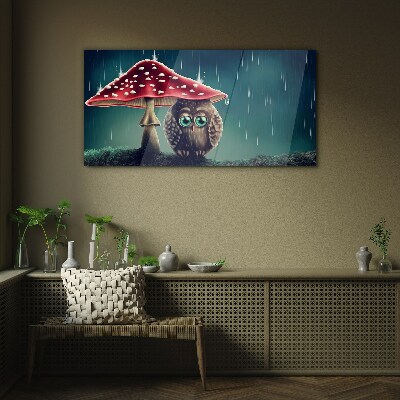 Glasbild Eine Eule unter einem Pilz im Regen