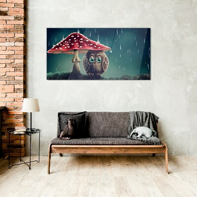 Glasbild Eine Eule unter einem Pilz im Regen