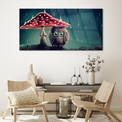 Glasbild Eine Eule unter einem Pilz im Regen