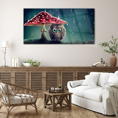 Glasbild Eine Eule unter einem Pilz im Regen
