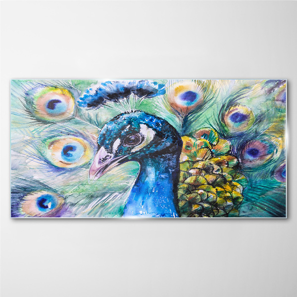 Glasbild Bunter Pfau zwischen Federn