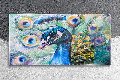 Glasbild Bunter Pfau zwischen Federn
