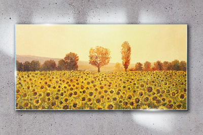 Glasbild Sonnenblumenfeld in der untergehenden Sonne