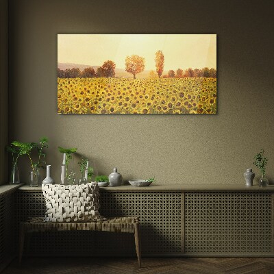 Glasbild Sonnenblumenfeld in der untergehenden Sonne