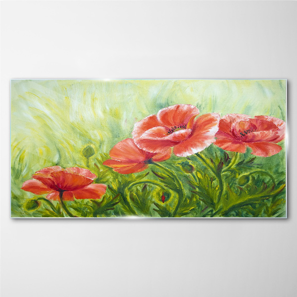 Glasbild Blumen auf einer Frühlingswiese