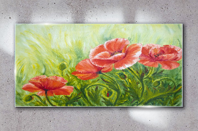 Glasbild Blumen auf einer Frühlingswiese