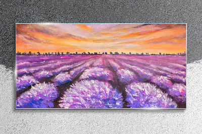 Foto auf glas Lila Lavendelfelder bei Sonnenuntergang