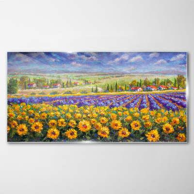 Glasbild Blumenlandschaft im Sonnenlicht