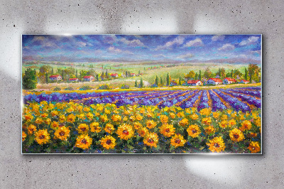 Glasbild Blumenlandschaft im Sonnenlicht