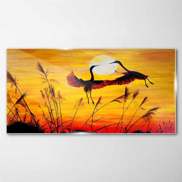 Glasbild Tanzende Kraniche bei Sonnenuntergang