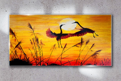 Glasbild Tanzende Kraniche bei Sonnenuntergang