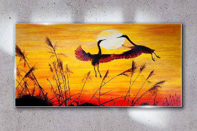 Glasbild Tiere Vögel Sonnenuntergang