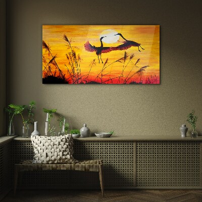 Glasbild Tanzende Kraniche bei Sonnenuntergang