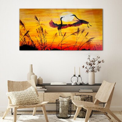 Glasbild Tanzende Kraniche bei Sonnenuntergang