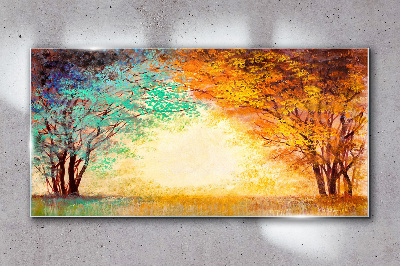 Foto auf glas Goldene Bäume im Morgenlicht