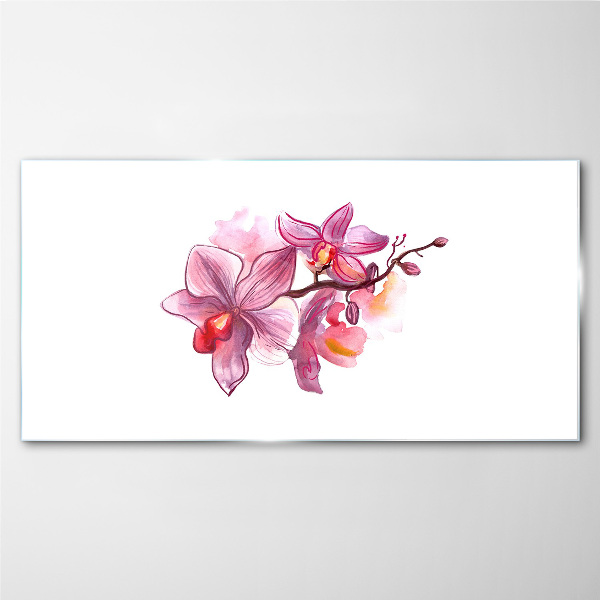 Glasbild Rosa Orchideen auf weißem Hintergrund