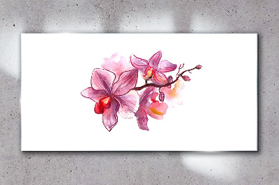 Glasbild Rosa Orchideen auf weißem Hintergrund