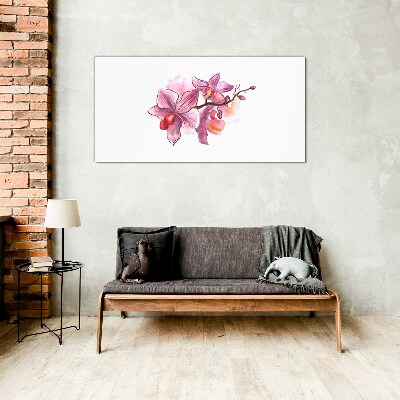 Glasbild Rosa Orchideen auf weißem Hintergrund