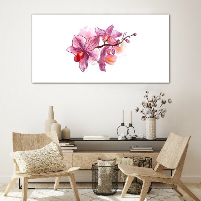 Glasbild Rosa Orchideen auf weißem Hintergrund