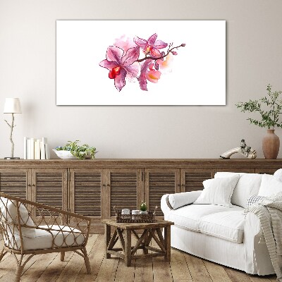 Glasbild Rosa Orchideen auf weißem Hintergrund