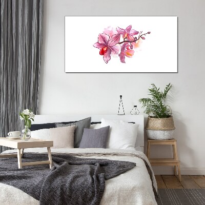 Glasbild Rosa Orchideen auf weißem Hintergrund