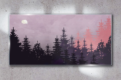 Glas bild Sonnenuntergang im Wald