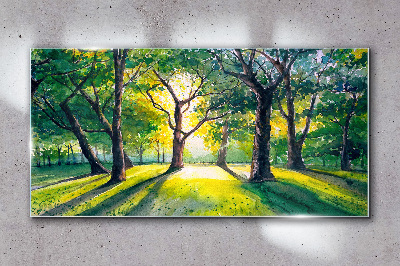 Glasbild Goldene Strahlen im Waldhain