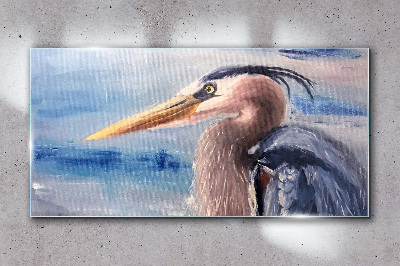Glasbild Porträt eines Reihers am Wasser
