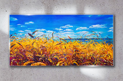 Glasbild Goldene Felder unter blauem Himmel