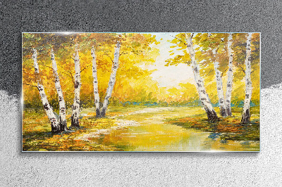 Glasbild Goldener Herbst zwischen den Birken