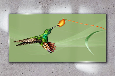 Glasbild Kolibri an einer Blume