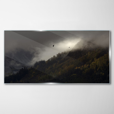 Foto auf glas Nebliges Bergpanorama mit Vögeln