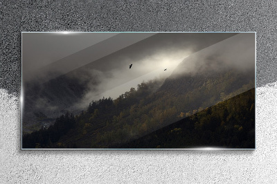 Foto auf glas Nebliges Bergpanorama mit Vögeln