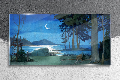 Glasbild Nachtlandschaft über dem Wasser