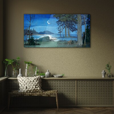 Glasbild Nachtlandschaft über dem Wasser