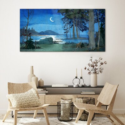 Glasbild Nachtlandschaft über dem Wasser