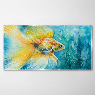 Glasbild Goldfische in gefärbtem Wasser