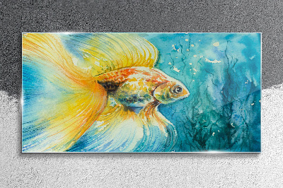 Glasbild Goldfische in gefärbtem Wasser