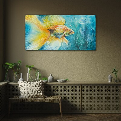Glasbild Goldfische in gefärbtem Wasser