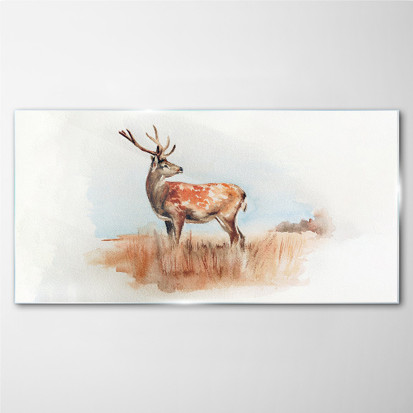 Glasbild Hirsch auf der Wiese