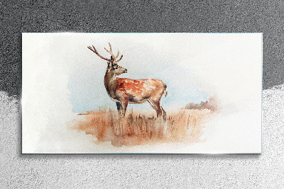 Glasbild Hirsch auf der Wiese