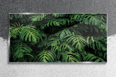 Glasbild Grüner Dschungel