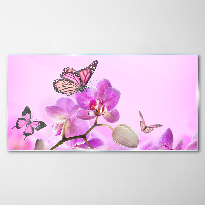 Glas bild Blumen Natur Schmetterling