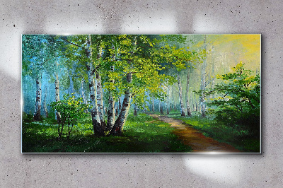 Bild auf glas Grüner Wald im Morgennebel