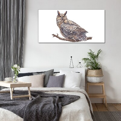 Glasbild Eule auf einem Ast