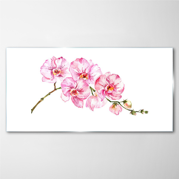 Glasbild Rosa Orchideen auf weißem Hintergrund