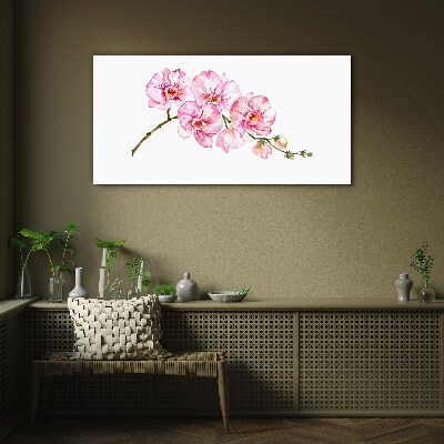 Glasbild Rosa Orchideen auf weißem Hintergrund